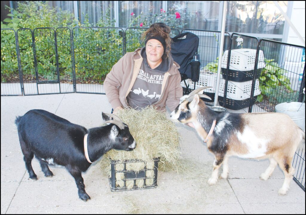 Brittany Arruda of Animal Affair Traveling Petting Zoo, pictured with Nigerian goats, Amelia and Lola.